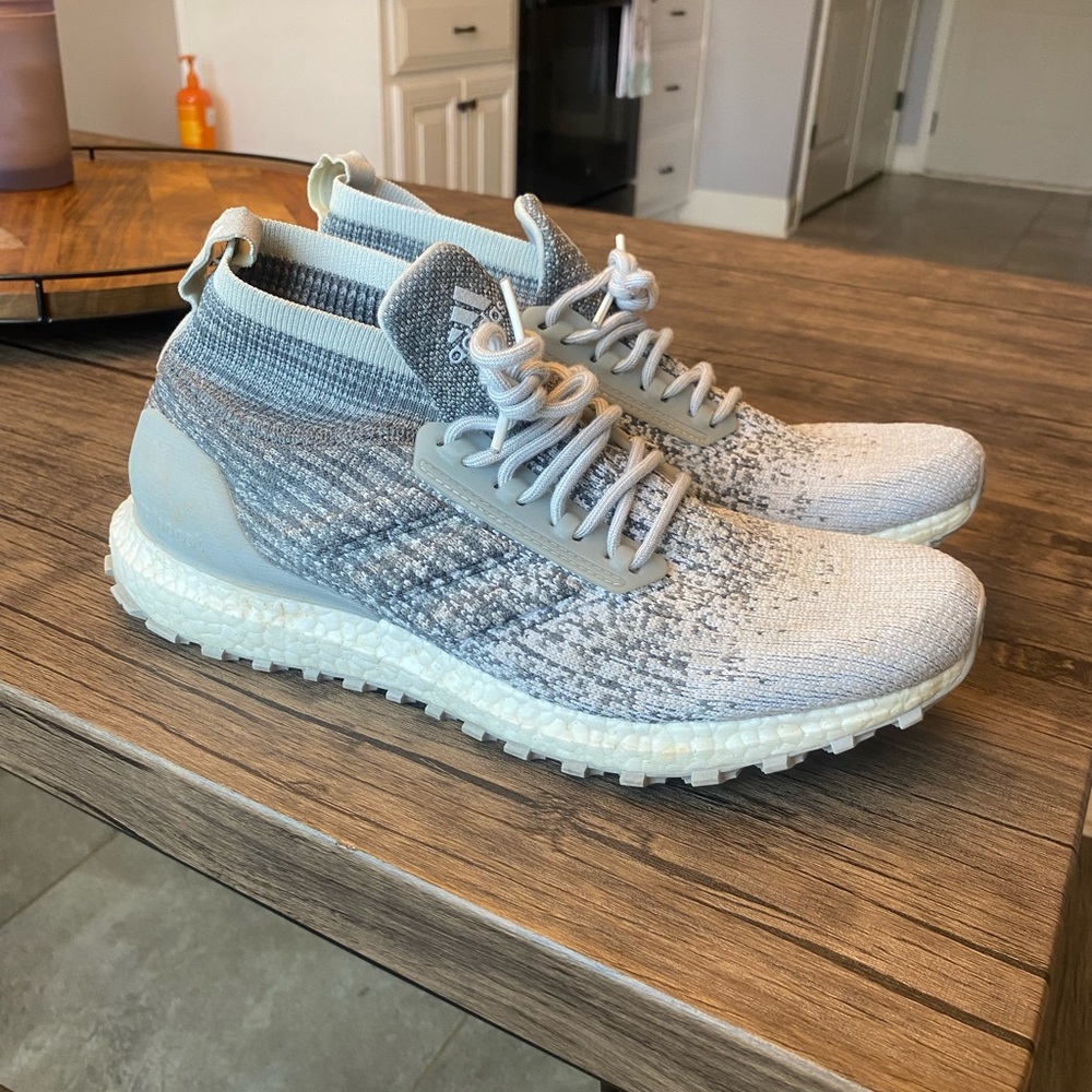 Adidas Ultraboost Trail X Reigning Champ